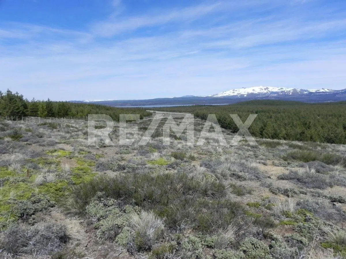 VENTA LOTE DE 8.298 M2 EN VILLA PEHUENIA 3