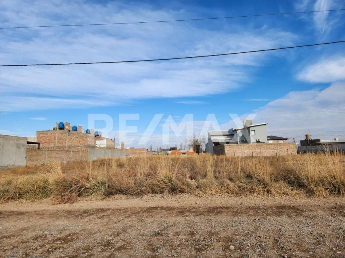 LOTE "LOS PERALES", FERNANDEZ ORO, RIO NEGRO 4