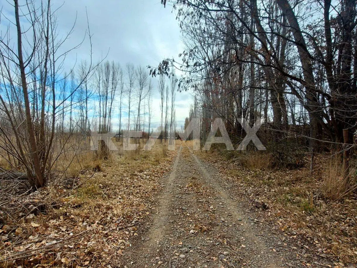 VENTA CHACRA 5,42 HA - SENILLOSA 5
