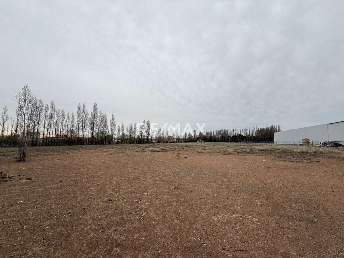 Venta chacra 2 hectáreas - Plottier frente a ruta