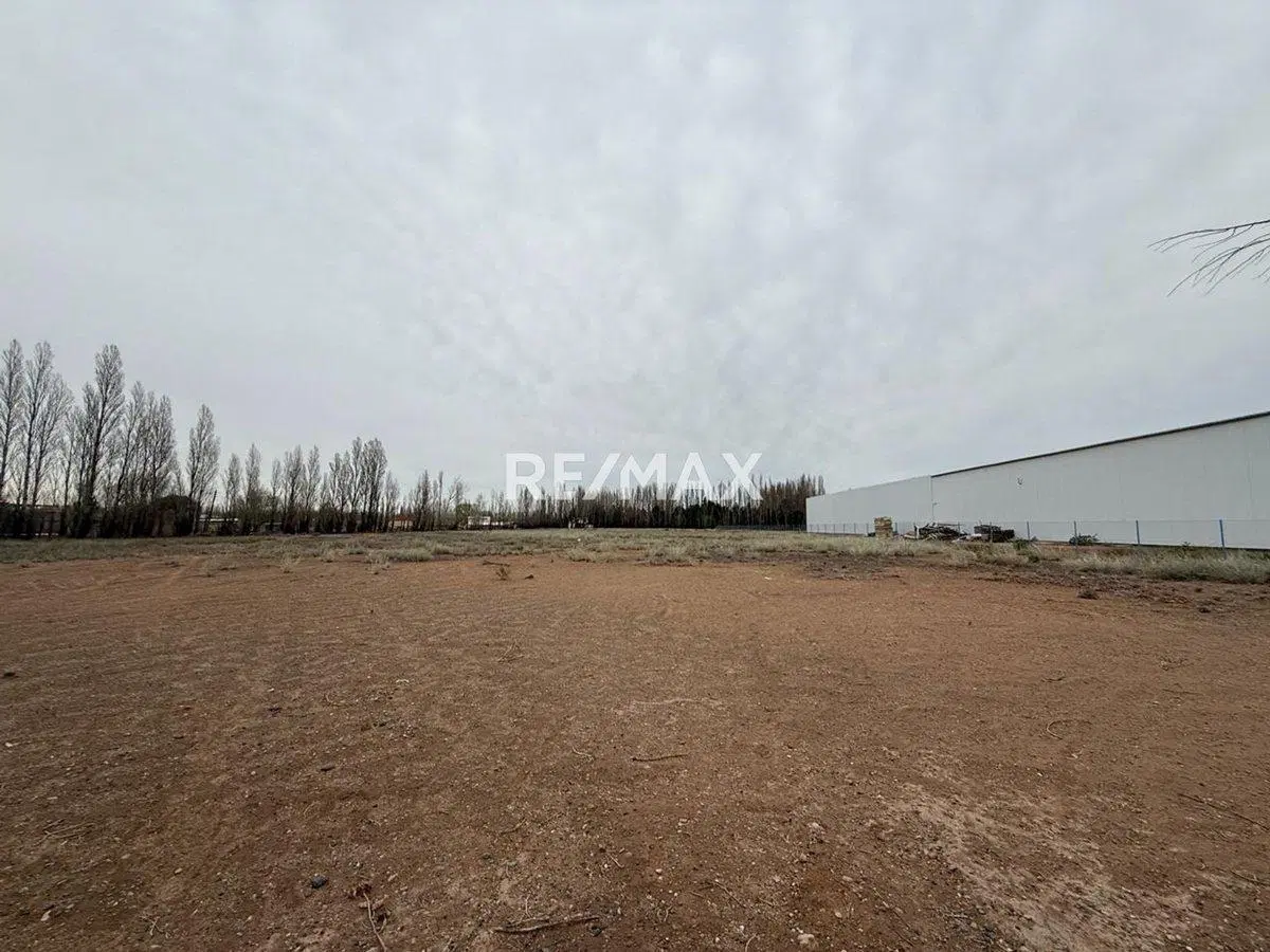 Venta chacra 2 hectáreas - Plottier frente a ruta 5