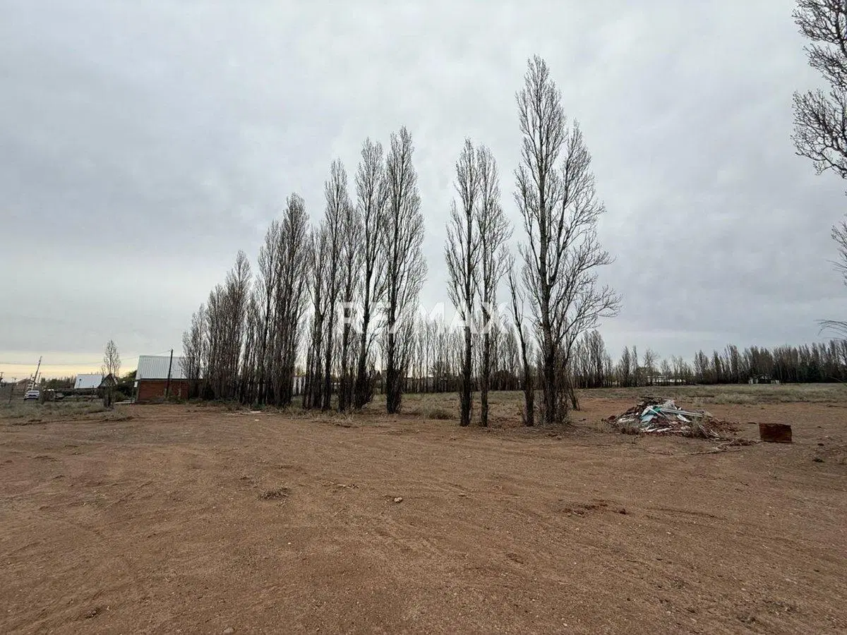 Venta chacra 2 hectáreas - Plottier frente a ruta 7