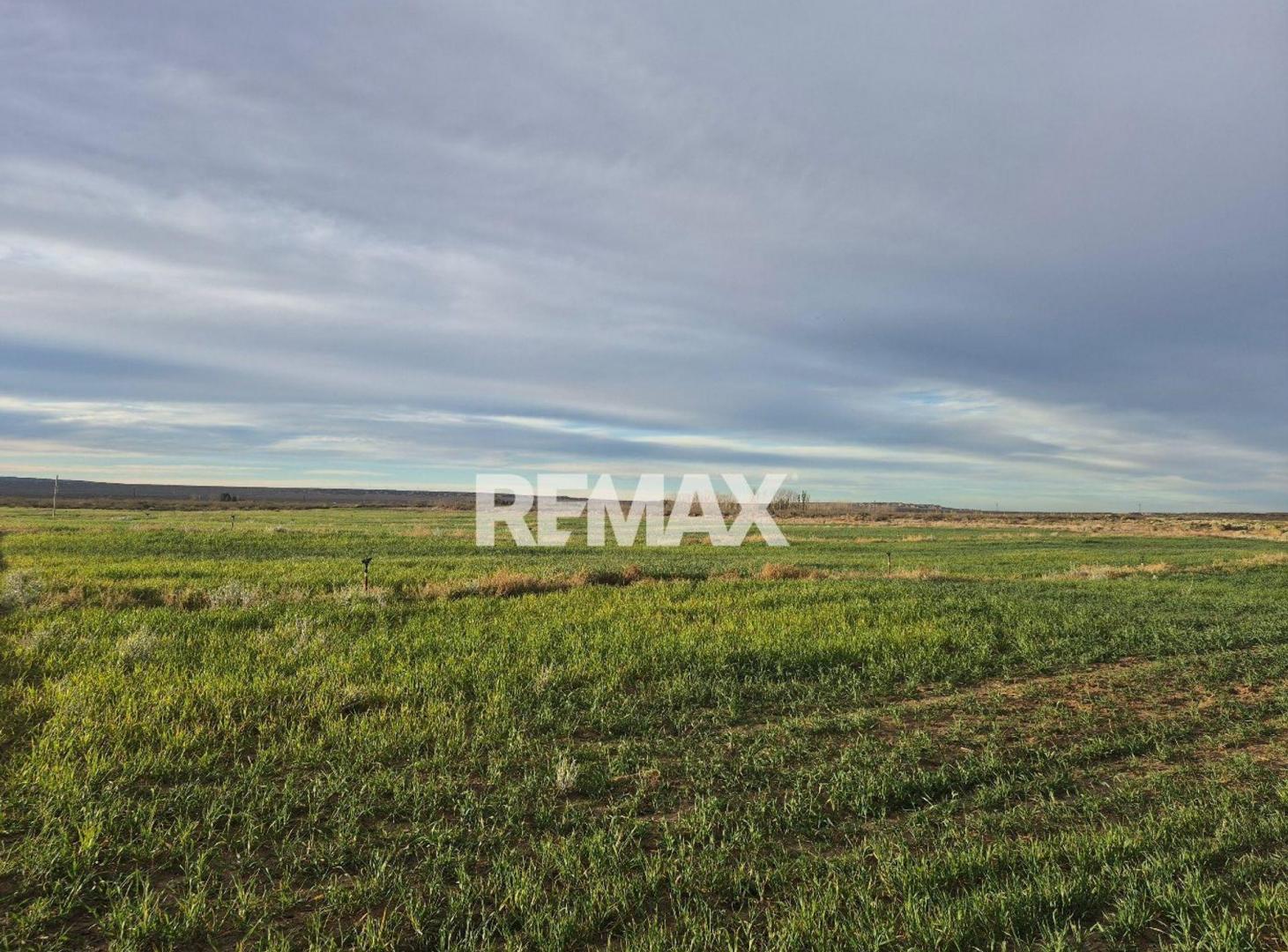 Vende Chacra 5ha Senillosa, Pcia de Neuquen