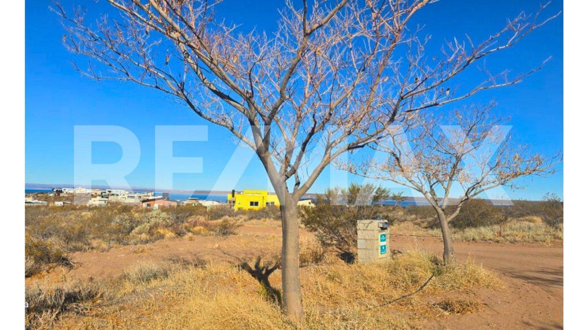 Foto de LOTE CHOCON MEDIO ETAPA TERRAZAS VISTA LAGO, imagen 5