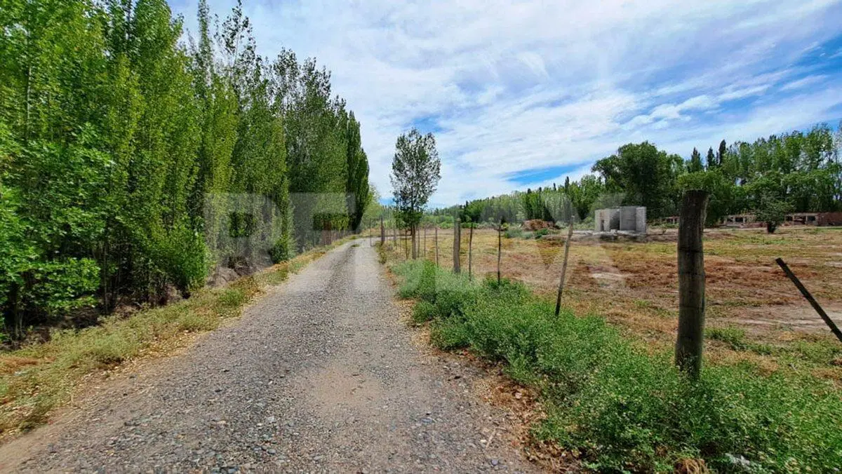 VENTA LOTE EN CIPOLLETTI  BARRIO CARDALES 3