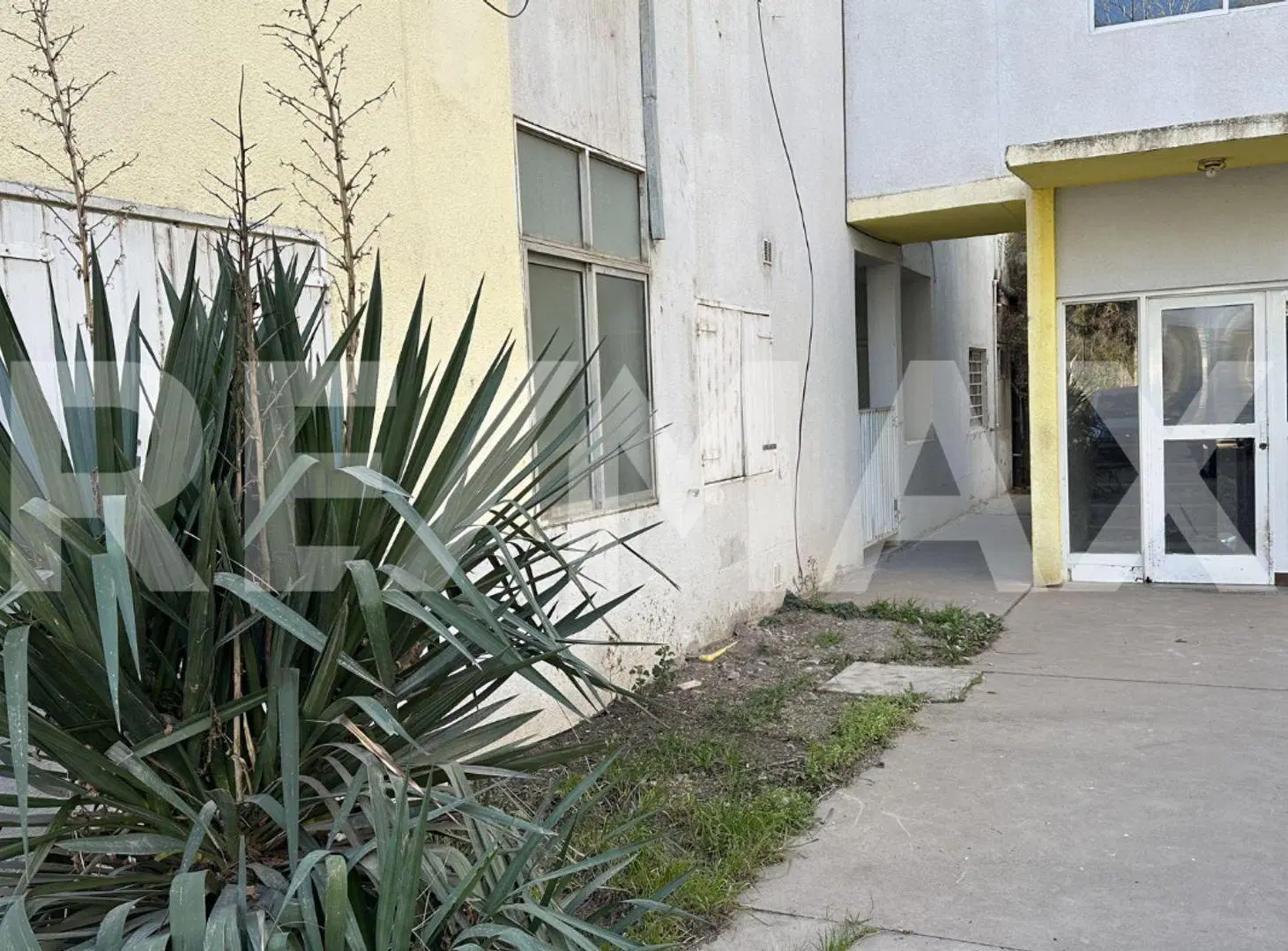 ALQUILER DEPARTAMENTO PB 3 DORMITORIOS PLOTTIER 4