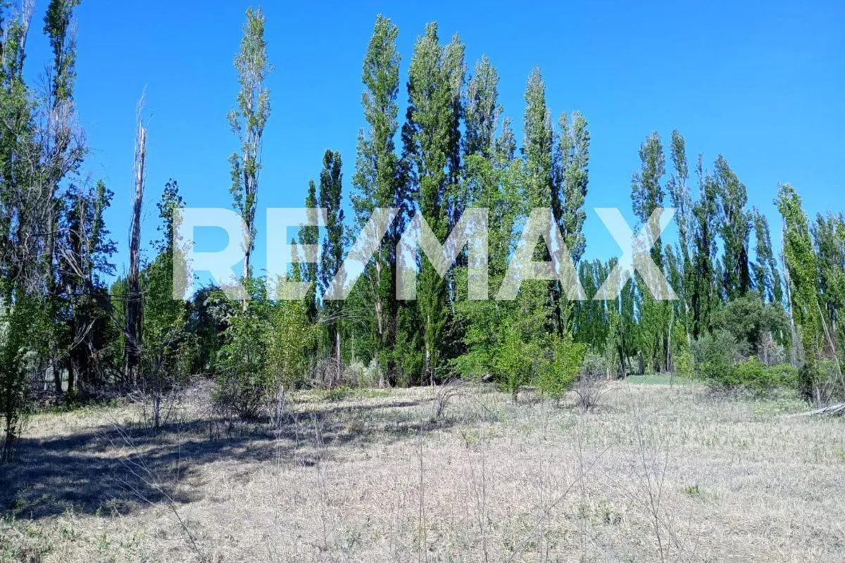 VENTA DE CHACRA EN CIPOLLETI SOBRE RUTA 151 4