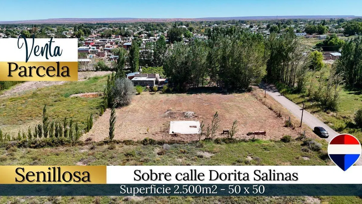 VENTA PARCELA EN SENILLOSA DE 2500 M2 NEUQUEN 3