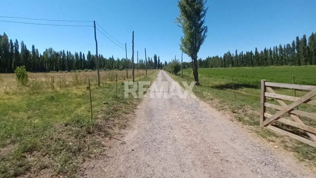 VENTA CHACRA 7.6 HAS - VILLA MANZANO - RIO NEGRO 2