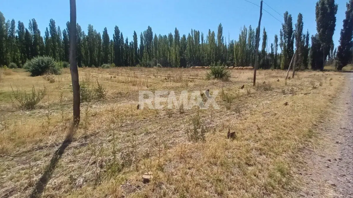 VENTA CHACRA 7.6 HAS - VILLA MANZANO - RIO NEGRO 6