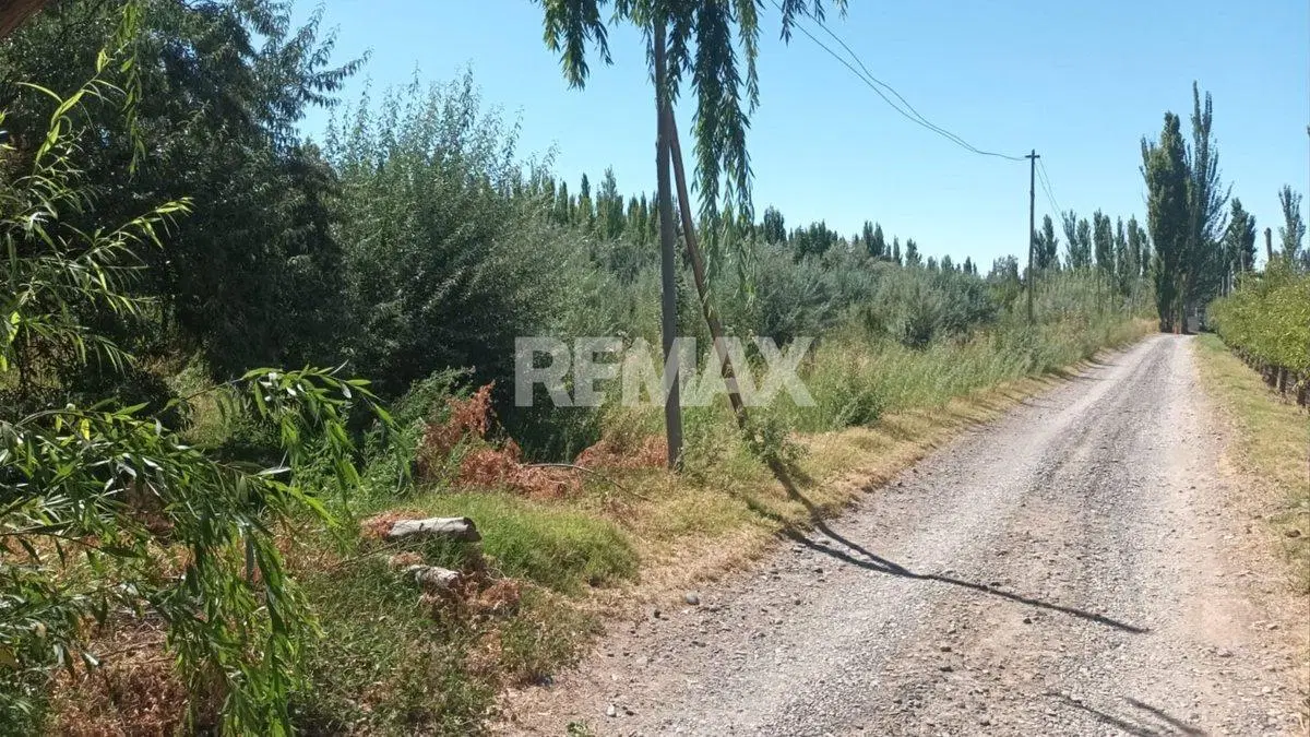 VENTA CHACRA 7.6 HAS - VILLA MANZANO - RIO NEGRO 5