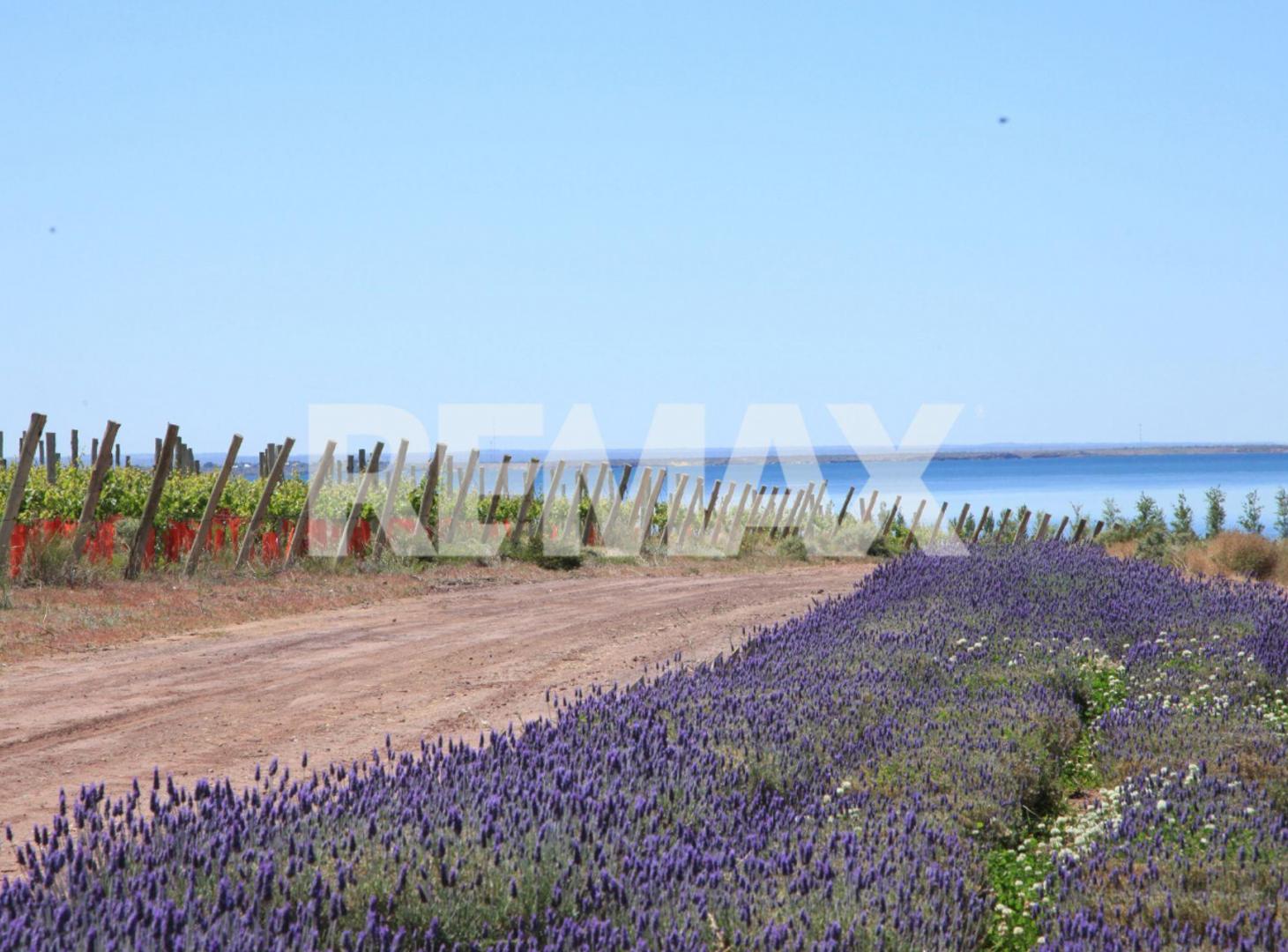 Foto de VENTA LOTE LAGO MARI MENUCO, LA PENINSULA, imagen 1