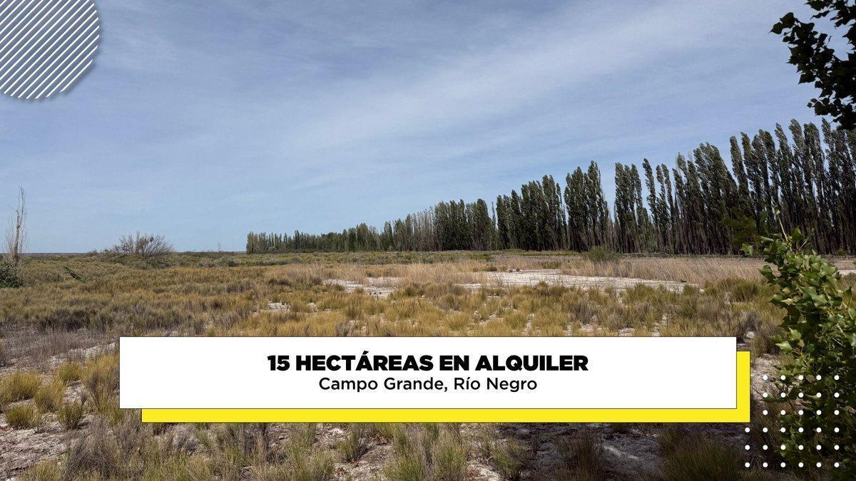 Foto de Alquiler de 15 hectáreas Campo Grande, Rio Negro, imagen 1