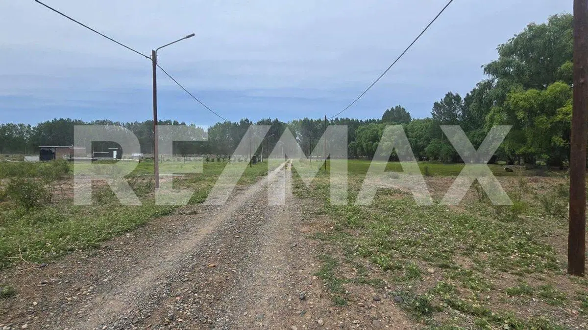LOTE DE 2.500 M2 - LEJOS DE BS AS - SENILLOSA 5