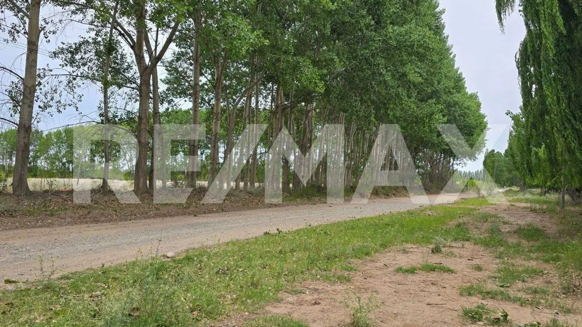 LOTE DE 2.500 M2 - LEJOS DE BS AS - SENILLOSA 8