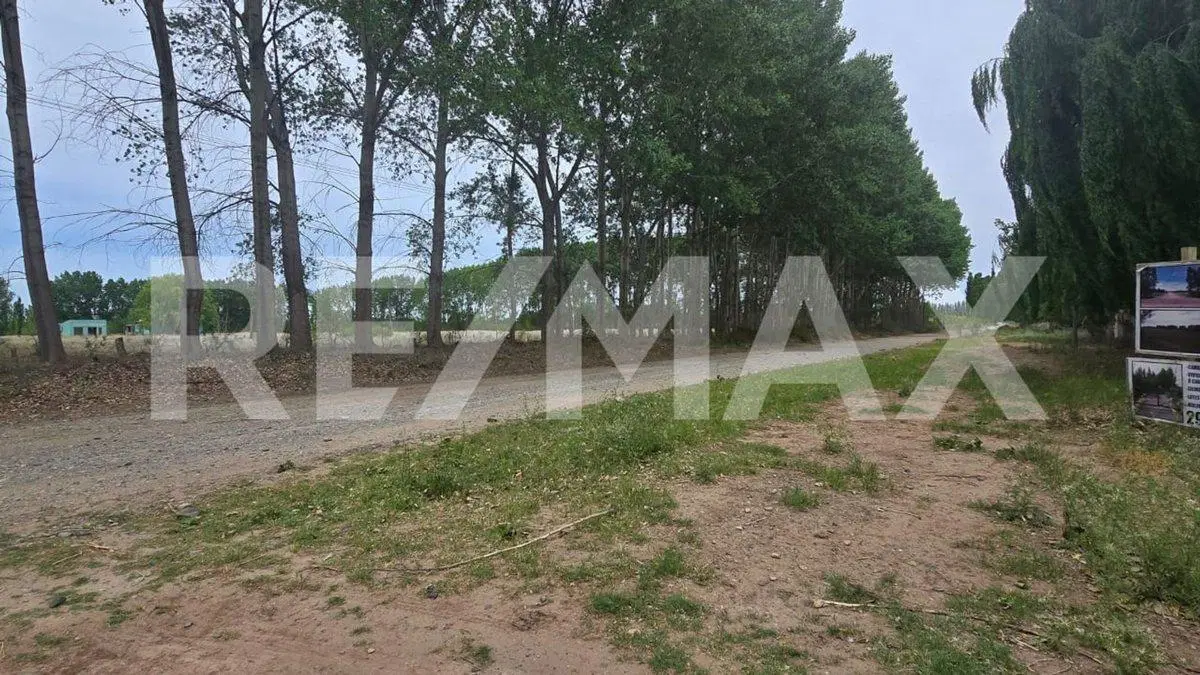 LOTE DE 2.500 M2 - LEJOS DE BS AS - SENILLOSA 2