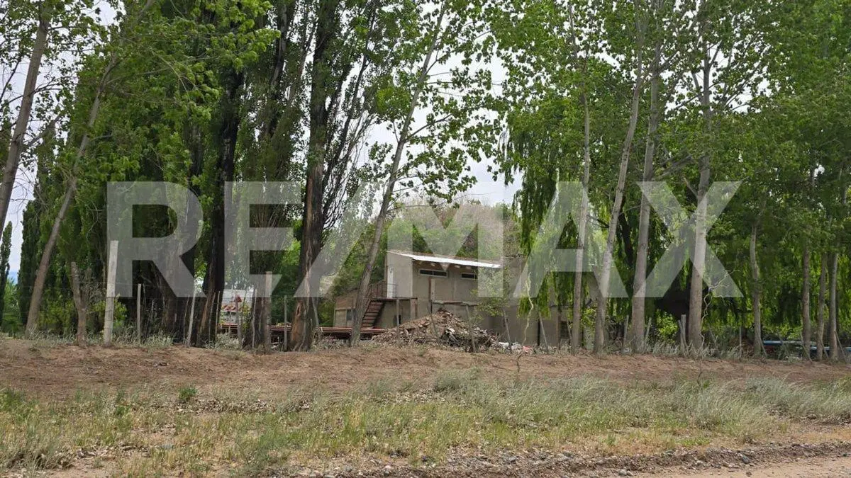 LOTE DE 2.500 M2 - LEJOS DE BS AS  II - SENILLOSA 3