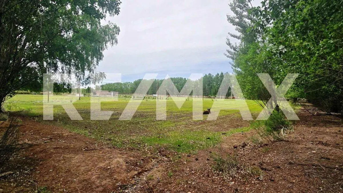 VENTA LOTE DE 2.500 M2 EN SENILLOSA 8