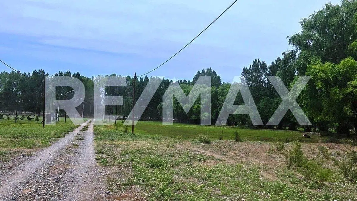 VENTA LOTE DE 2.500 M2 EN SENILLOSA 4