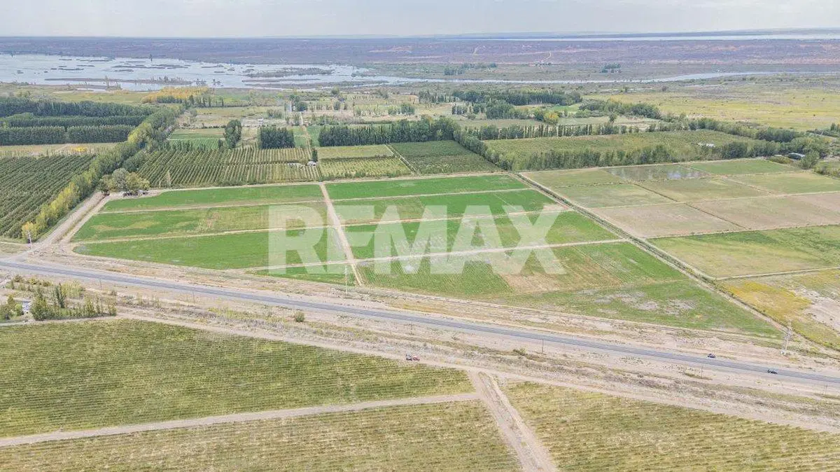 EN VENTA CHACRA  FRENTE DE RUTA 7 S.P DEL CHAÑAR 3