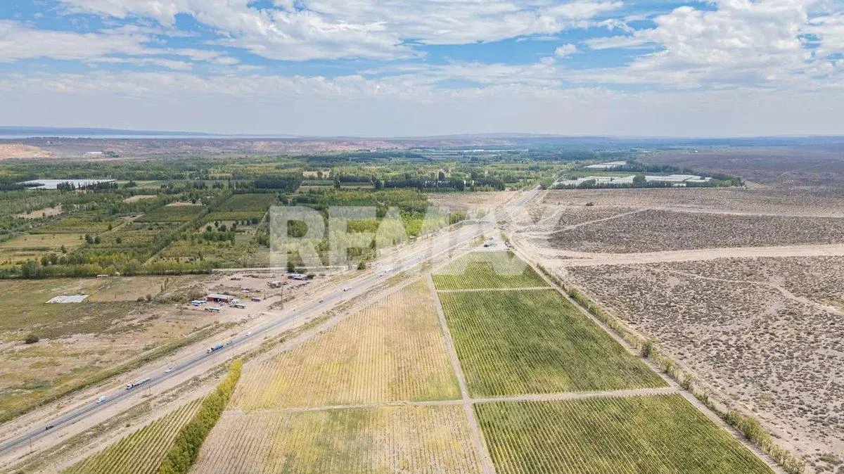 EN VENTA CHACRA  FRENTE DE RUTA 7 S.P DEL CHAÑAR 2