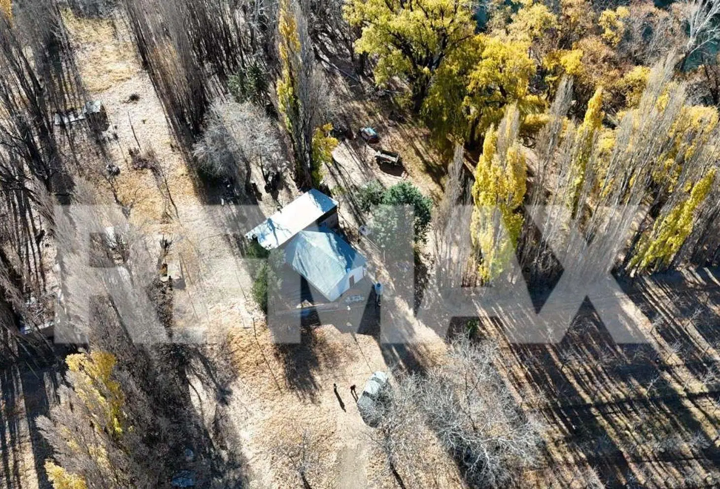 VENTA Chacra de 25,69ha en Isla 111, Senillosa 5