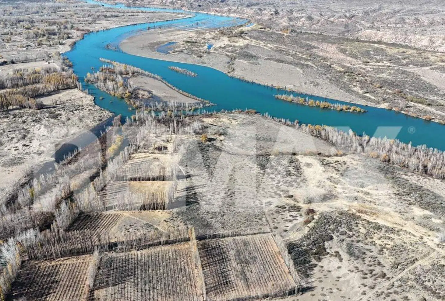 VENTA Chacra de 25,69ha en Isla 111, Senillosa 4