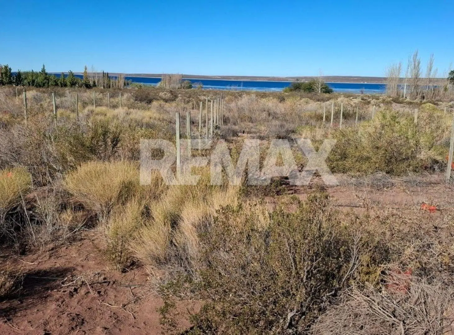 Lote en La Península. Lago Mari Menuco 5