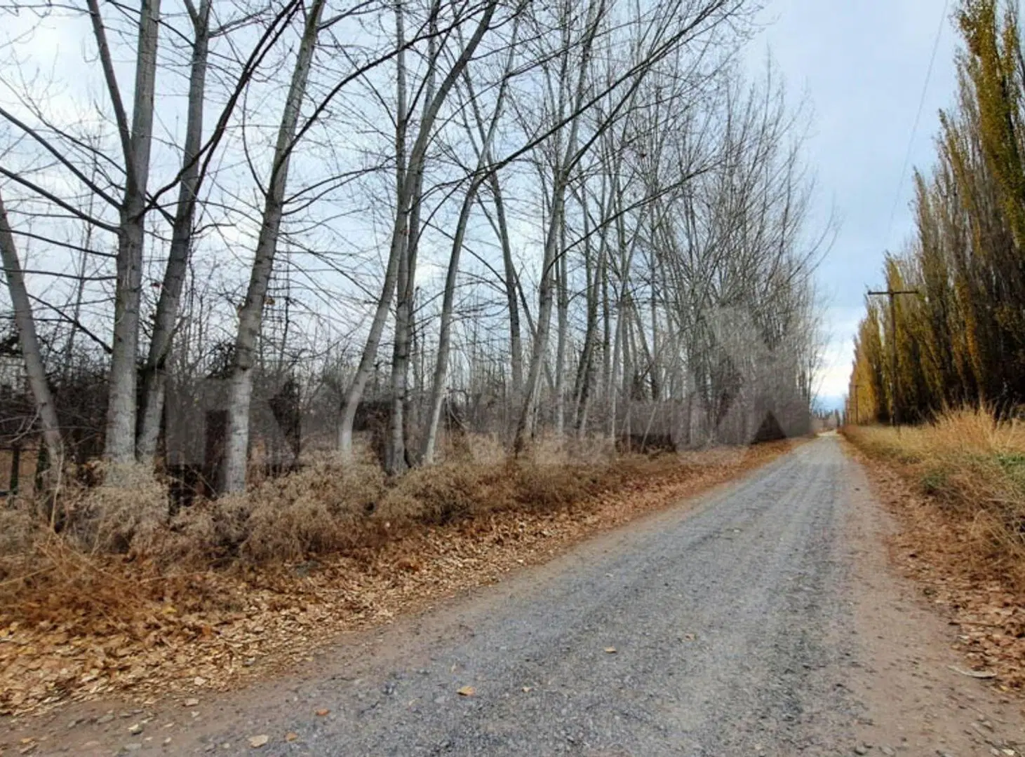 VENTA CHACRA 6 HECTAREAS SAN PATRICIO DEL CHAÑAR 2