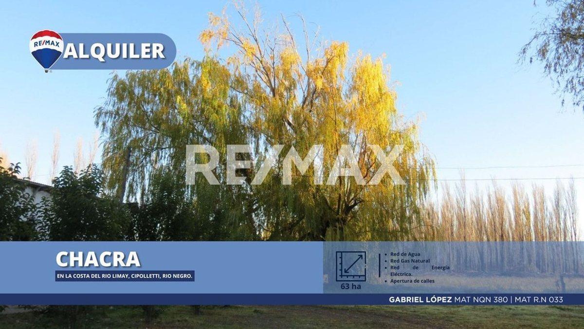 Foto de Alquila Chacra 63 ha costa Rio Limay Cipolletti RN, imagen 1