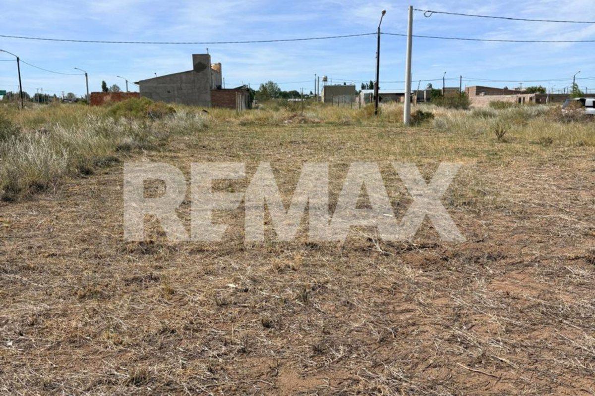 Foto de Lote de 300 m2 en La Dorada, Senillosa, imagen 3