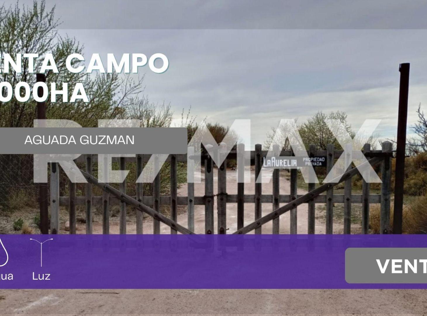 Foto de VENTA DE CAMPO 11.000 HA. EN AGUADA GUZMAN, imagen 2