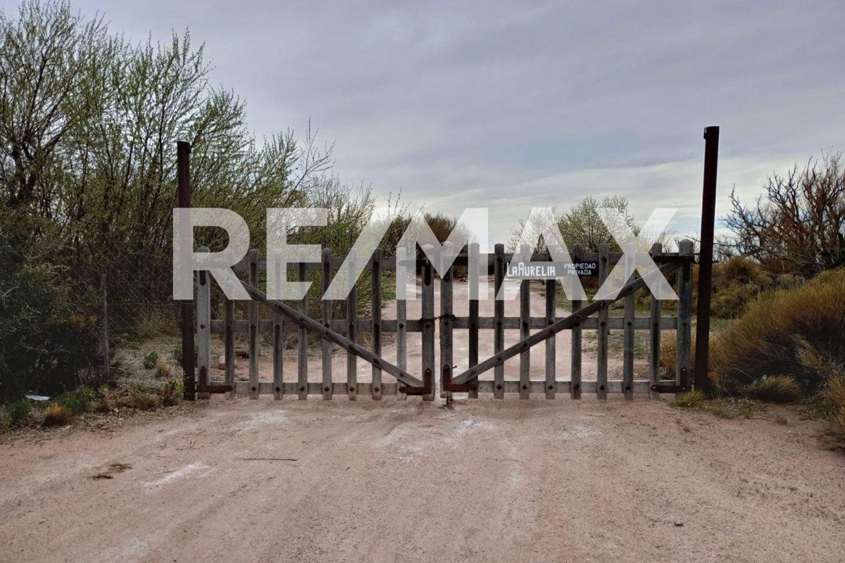 Foto de VENTA DE CAMPO 11.000 HA. EN AGUADA GUZMAN, imagen 1