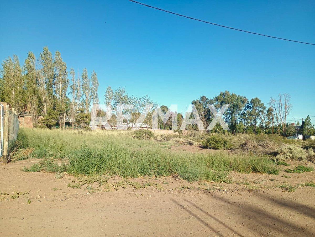 Foto de VENTA TERRENO 450 M2 VILLA EL CHOCÓN NEUQUÉN, imagen 3