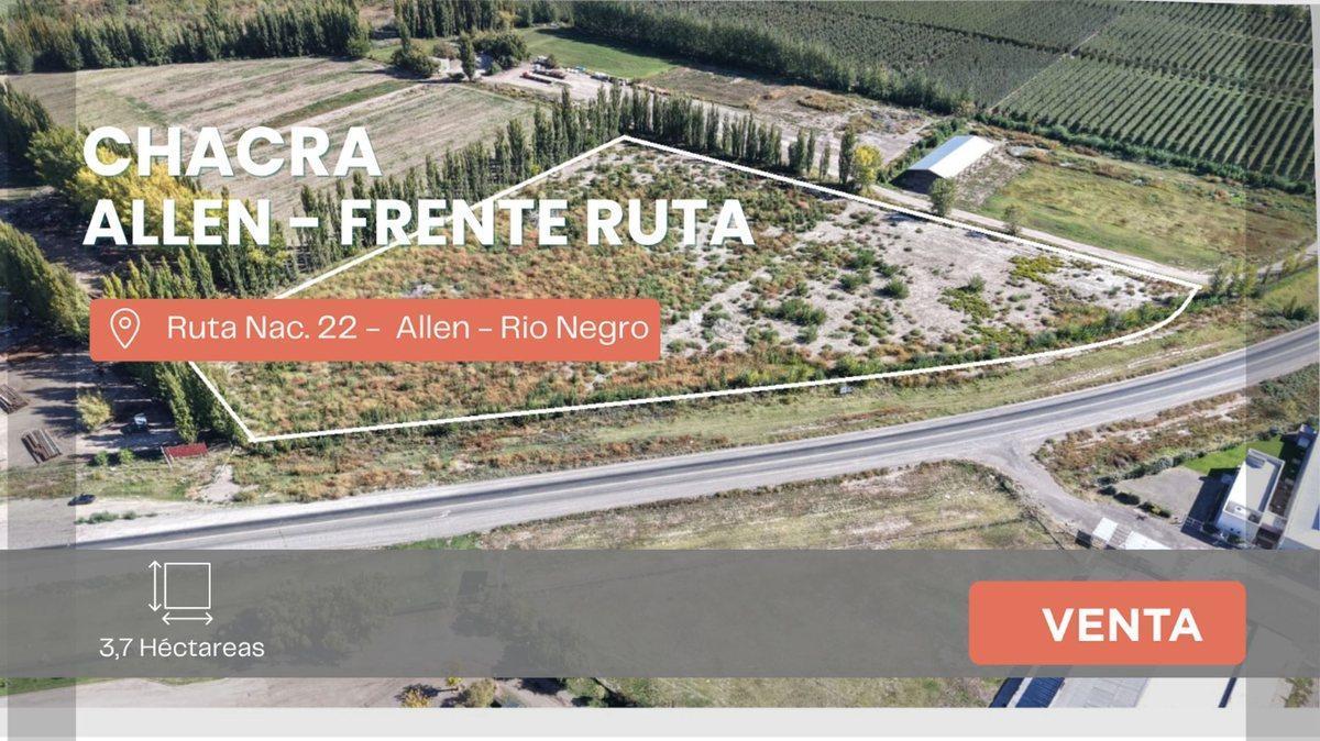 Foto de VENTA CHACRA 3,7 HECTAREAS RUTA 22 ALLEN RIO NEGRO, imagen 1