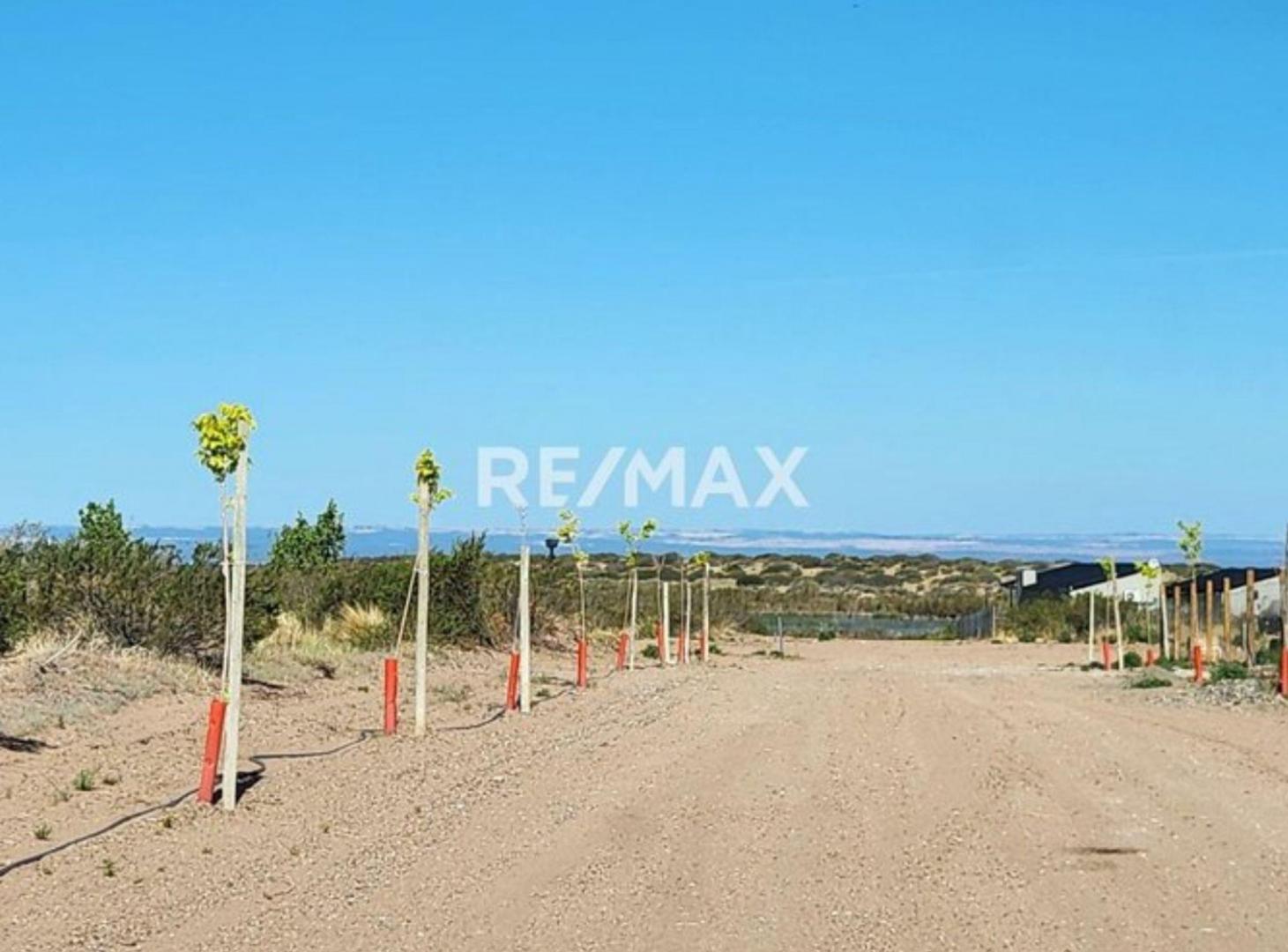 Foto de LOTE EN VENTA EN ETAPA LAGUNA, CHOCÓN MEDIO, imagen 3