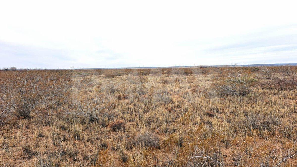 Foto de VENTA CAMPO 10 HECTAR COLONIA SAN JOSE SENILLOSA, imagen 2