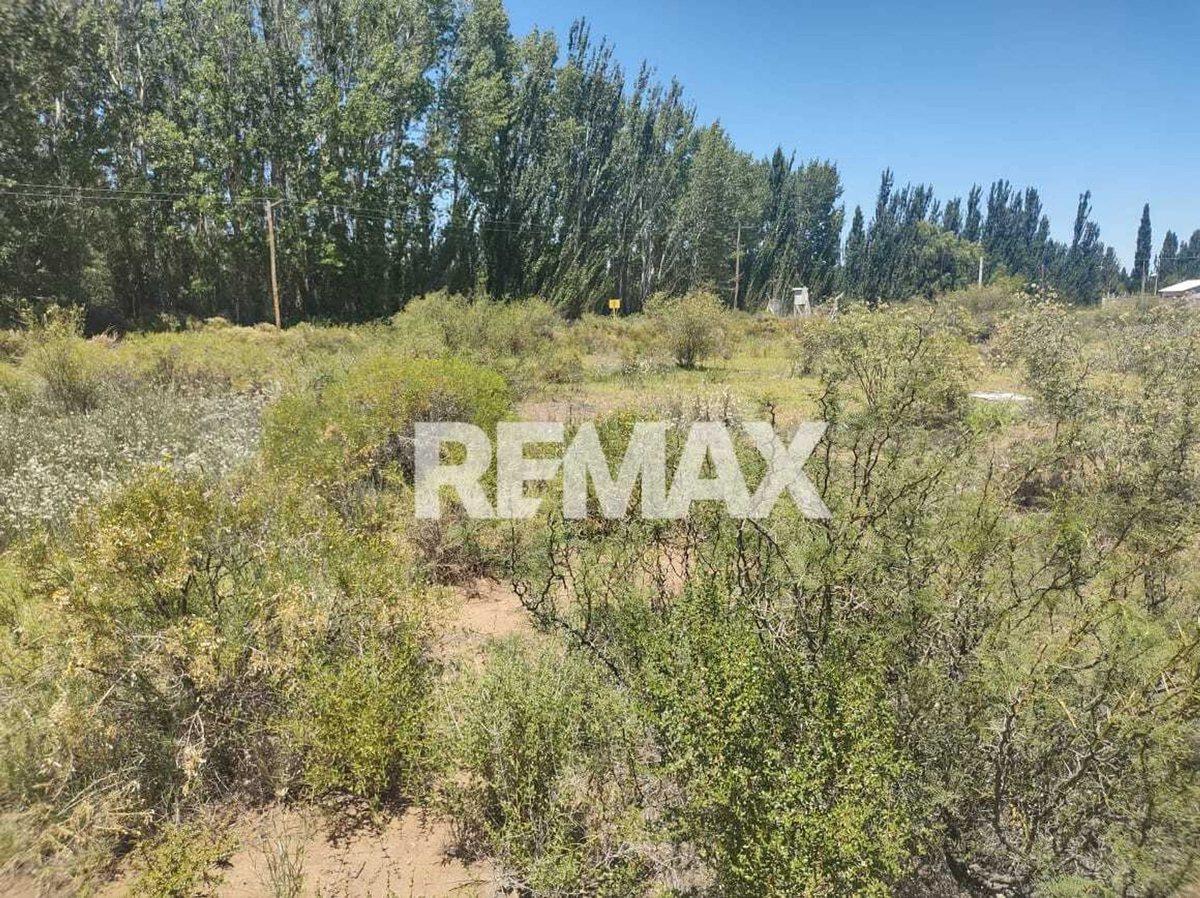 Foto de Venta LOTE 10 MZA 10 285,40m² LOTEO AMEDEAPlottier, imagen 1