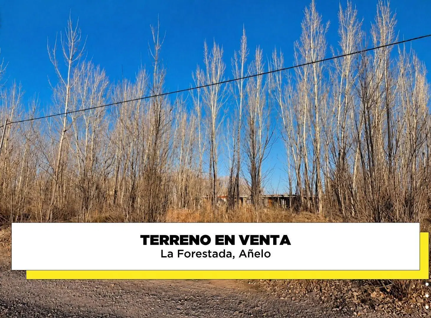 Terreno en venta La Forestada, Añelo 8