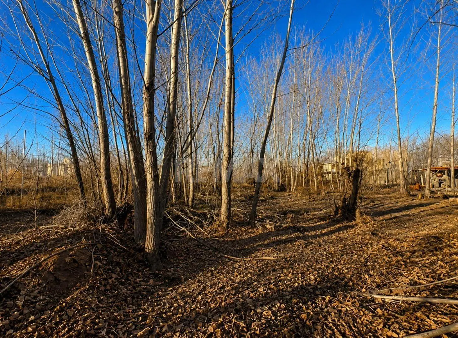 Terreno en venta La Forestada, Añelo 2