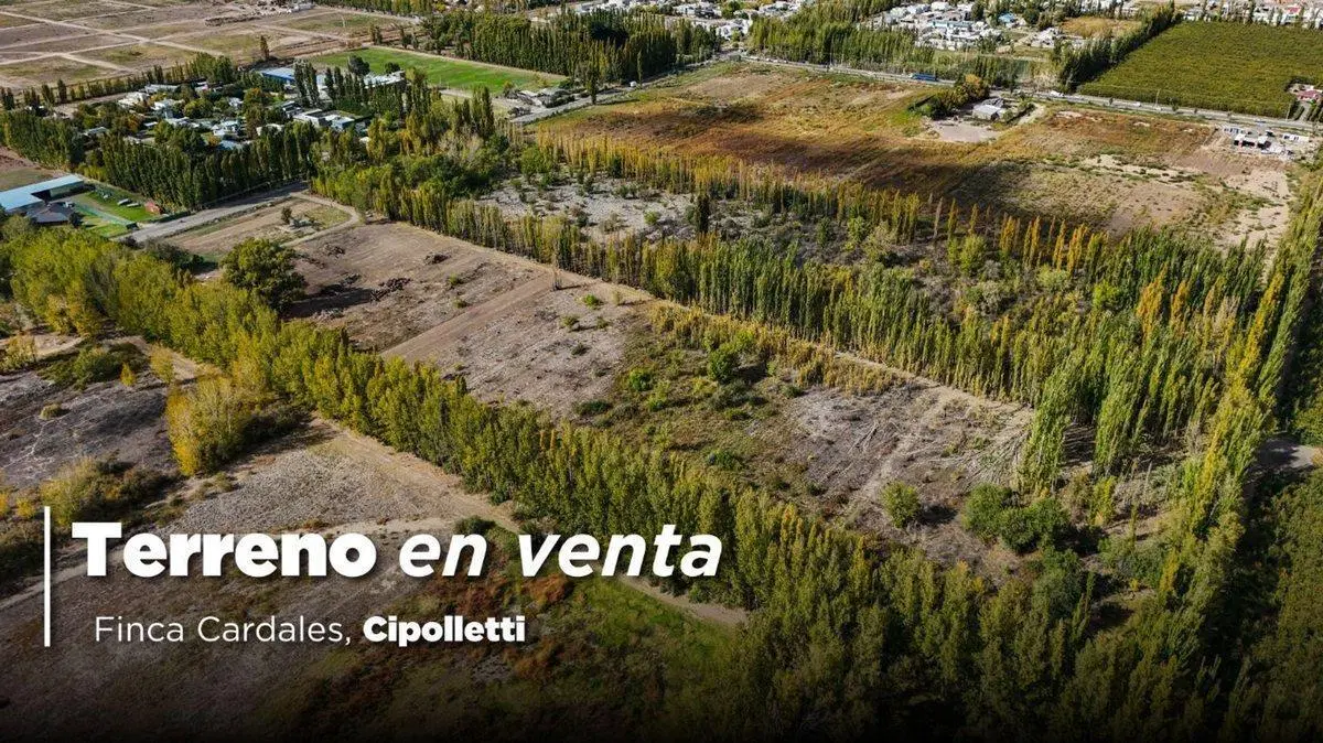 VENTA EXCLUSIVA | FINCA CARDALES | CIPOLLETI 8