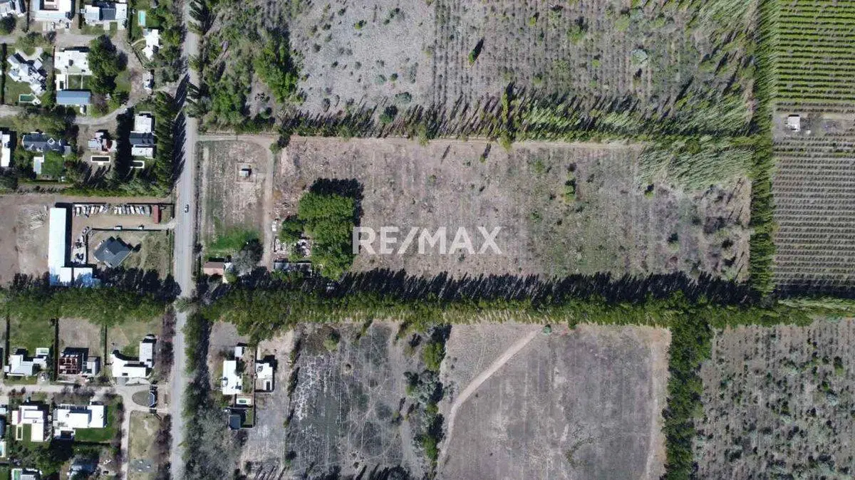 VENTA EXCLUSIVA | FINCA CARDALES | CIPOLLETI 2