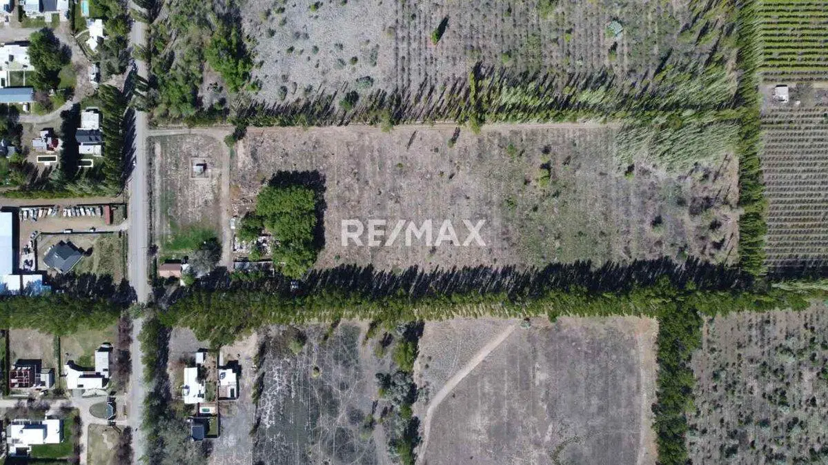 VENTA EXCLUSIVA | FINCA CARDALES | CIPOLLETI 5