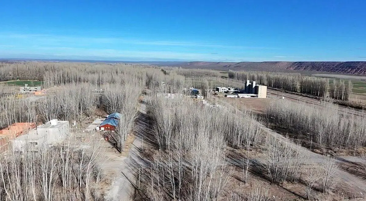 Terreno en venta Añelo Vaca Muerta La Forestada 3
