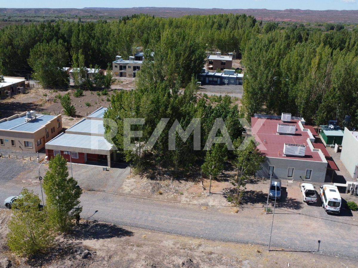Foto de Terreno en venta Añelo Vaca Muerta La Forestada, imagen 4