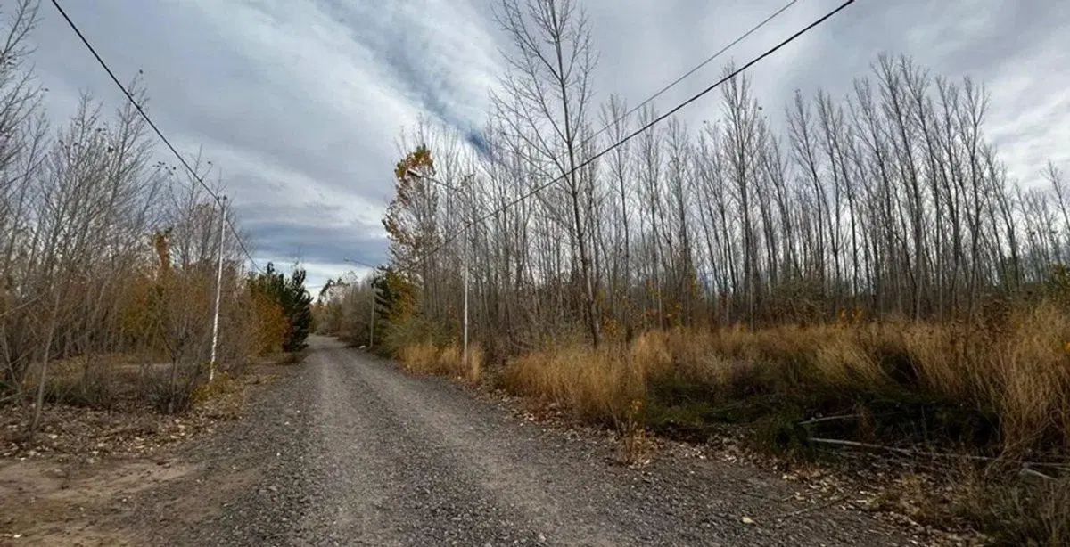 Terreno en venta Añelo Vaca Muerta La Forestada 6