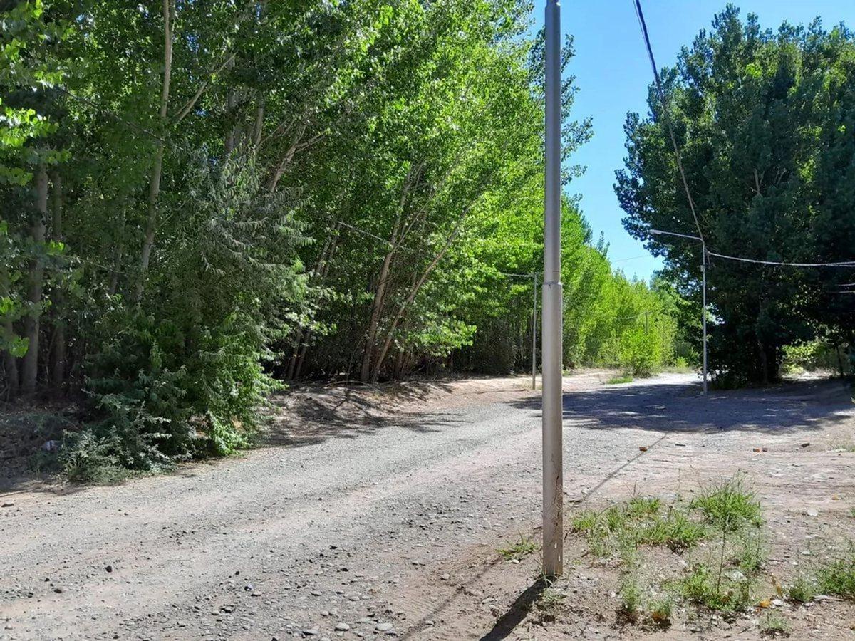 Foto de Terreno en venta Añelo Vaca Muerta La Forestada, imagen 5