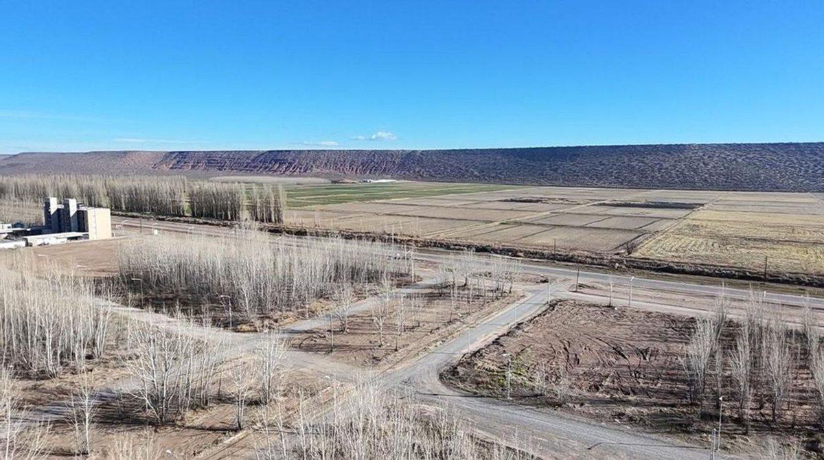 Foto de Terreno en venta Añelo Vaca Muerta La Forestada, imagen 2