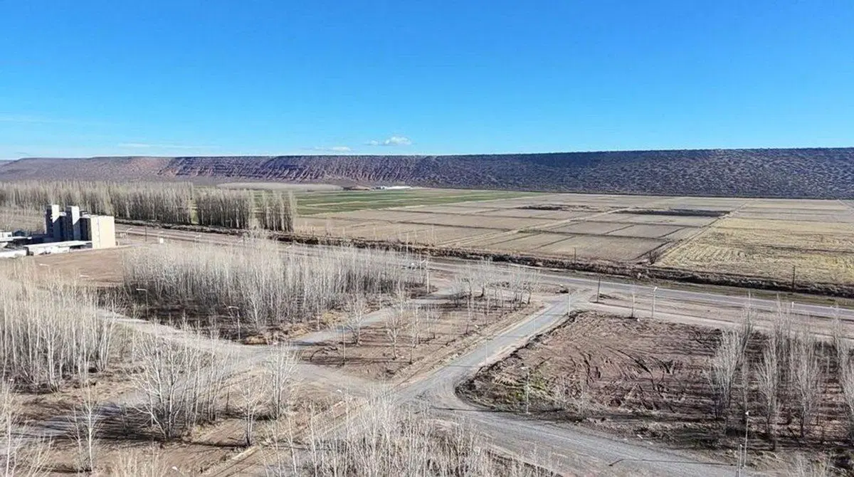 Terreno en venta Añelo Vaca Muerta La Forestada 2