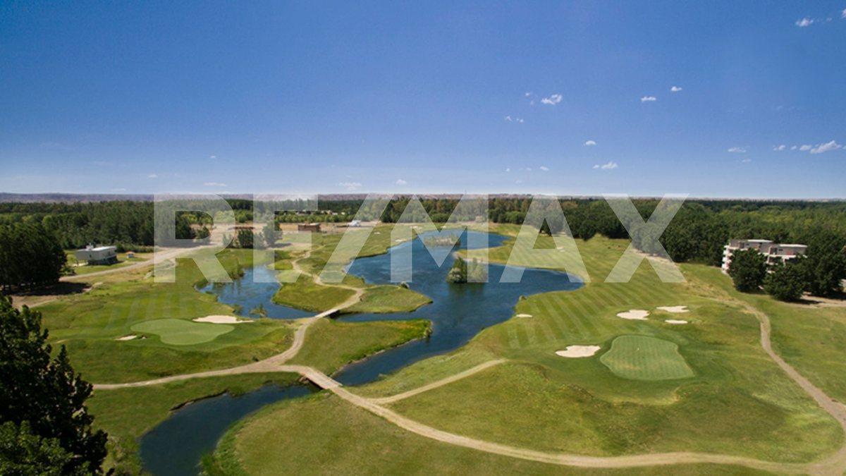 Foto de TERRENO EN VENTA EN LOS CANALES DE PLOTTIER, imagen 2
